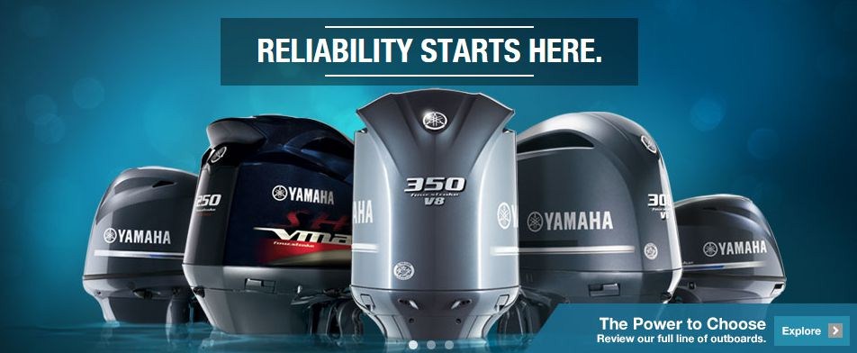 302023922 619235326252340 9008856852921480377 N